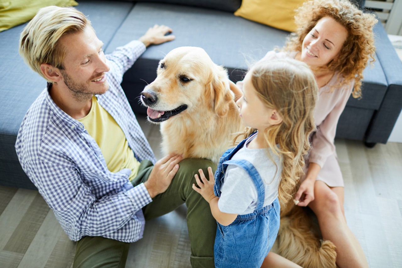 Adding a fur member to the family?  Here are three commonly overlooked concerns.